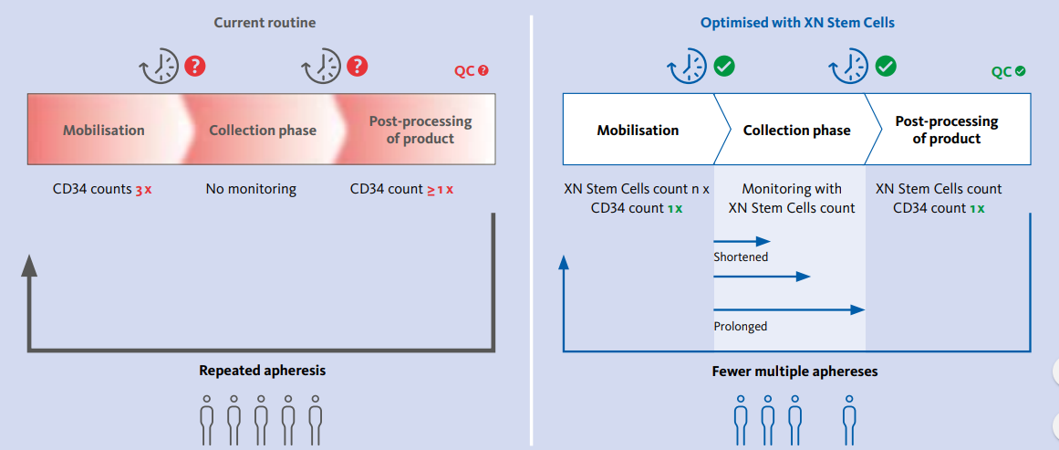 Schematic representation of the apheresis workflow before and after implementing XN stem cells